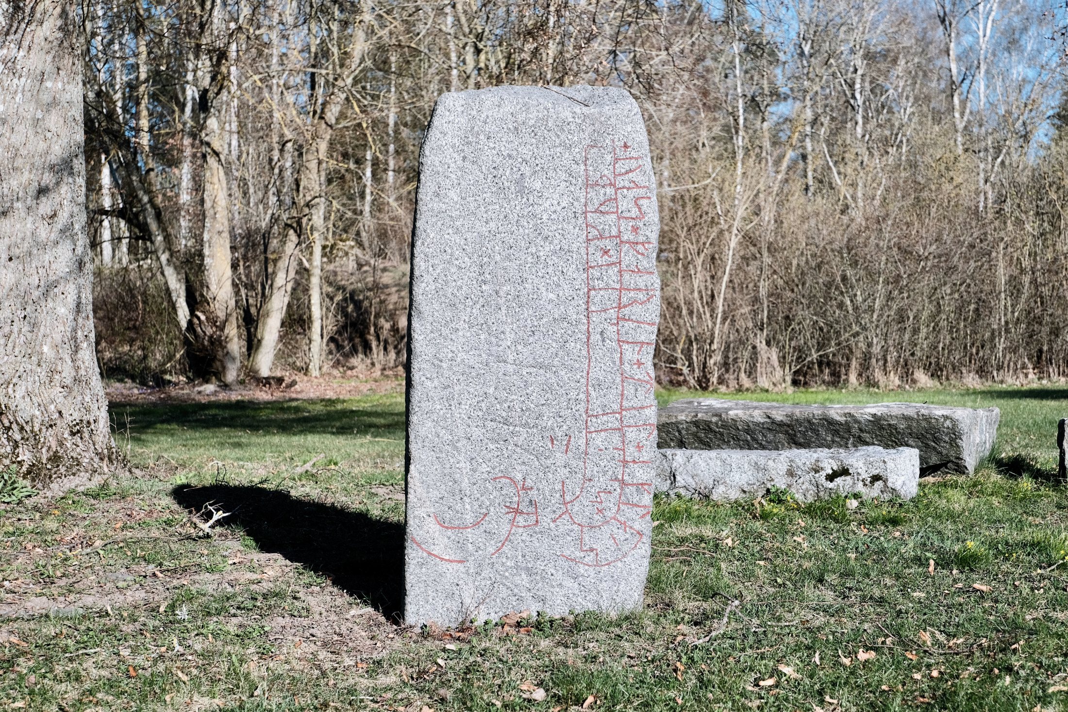A tall gray granite rune stone with a vertical band of red-painted runes carved down its right edge, standing near a tree and low granite benches on a lawn in Dingtuna, Västerås, Sweden.