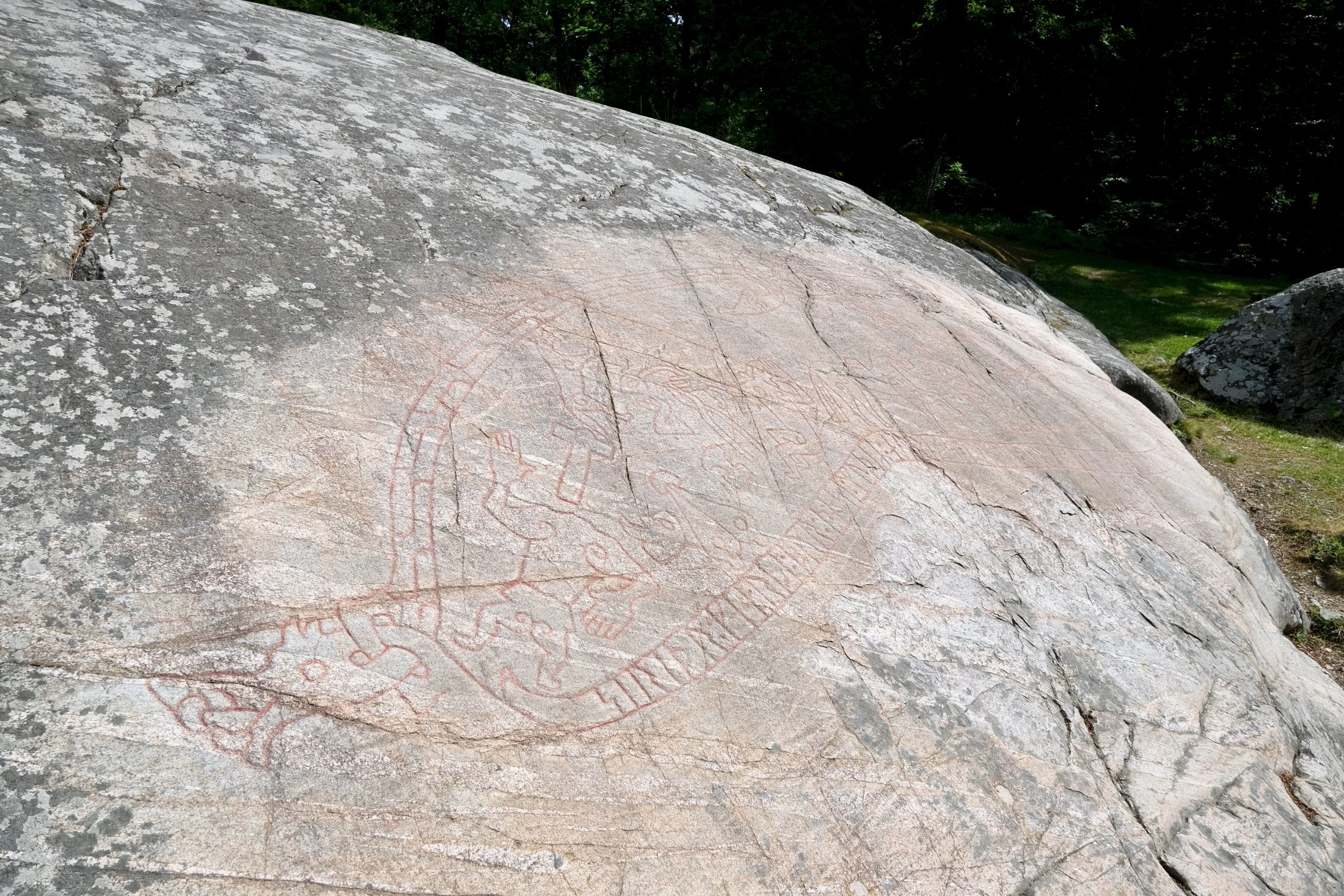 Faint red-painted lines on a large sloping grey rock form the Sigurd Carving — a curving runic band wrapped around figures, a dragon, and scenes from the Norse saga — at the edge of a sunlit summer woodland.