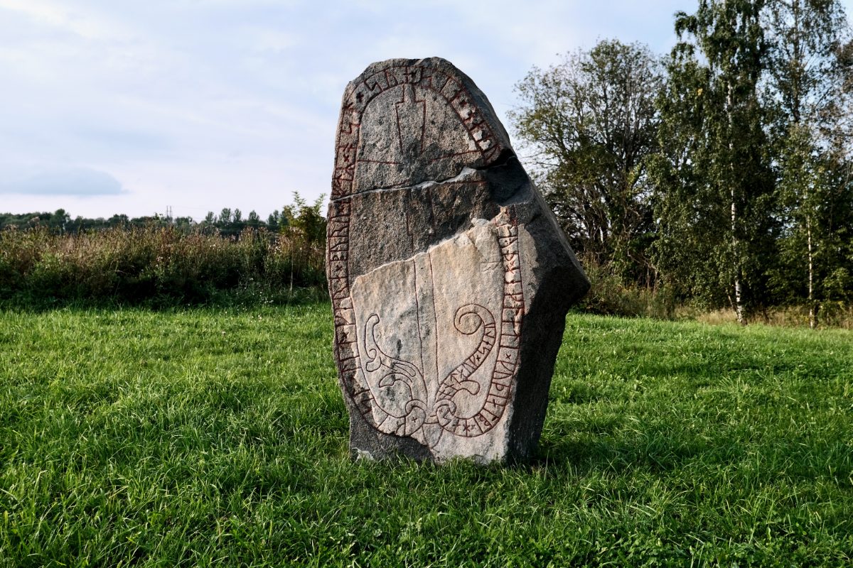 A weathered grey runestone stands upright in a green late-summer meadow, its looping runic band and serpent ornament picked out in red, with birch trees and open Västmanland fields behind it.